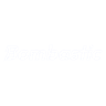 Bombastic
