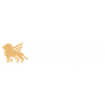 Fairspin