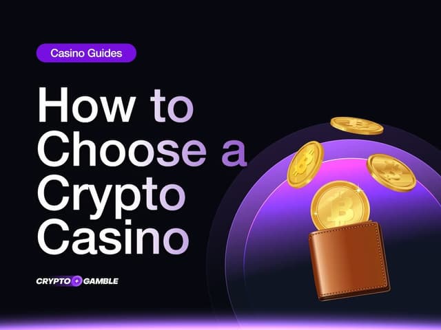 What to Look for When Choosing a Crypto Casino in Australia: A Guide for Beginners