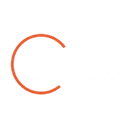 Bspin.io