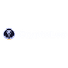 CryptoLeo