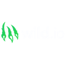 Wild.io casino