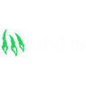 Wild.io casino