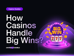 How Casinos Handle Big Wins: Managing Liquidity and Risk in the Crypto World